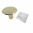BOTON 69301 RND CONC 1 POLISHED BRASS BRAINERD