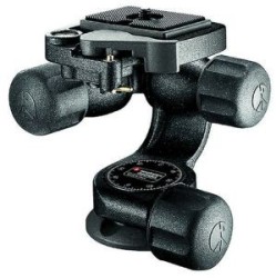 CABEZA MANFROTTO 460MG