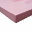 PLACA AISLANTE FOAMULAR F250 1