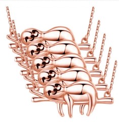 Collar Oso Perezoso