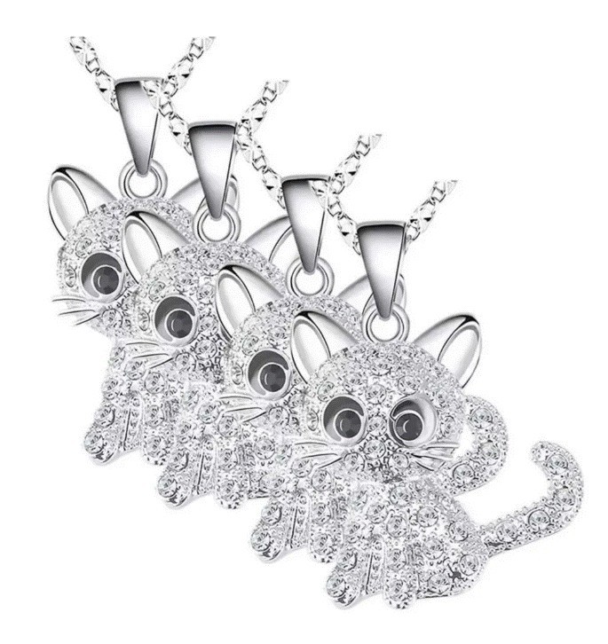 Cadena de Gatos