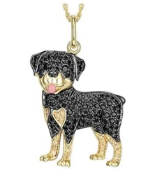 Cadena con Dije DogNeck16