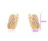 Aretes para Dama con Cristal Austriaco Oro 14K Laminado Dorado
