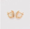 Aretes para Dama con Cristal Austriaco Oro 14K Laminado Dorado