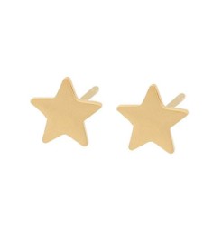 Aretes Broqueles Estrella Pulidos Dama Niña Oro 14K Laminado Dorado