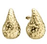 Aretes de Acero Inoxidable Enso para Dama EICN232117G Dorado