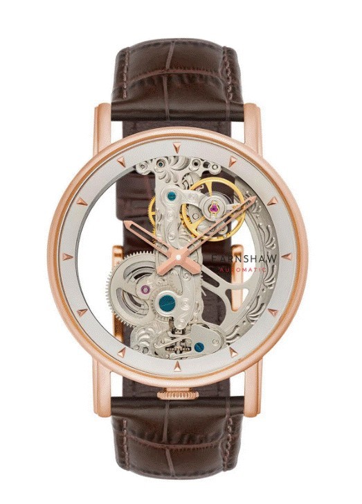 Reloj de Pulsera Earnshaw Para Hombre ES-8225-03 Rose Gold
