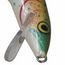 CEBO DE PESCA FLOTANTE RAINBOW TROUT 11 RAPALA.