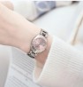 Reloj Vivienne Westwood V292PKSL Mujer