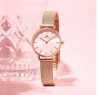 Reloj Daniel Wellington 28MM Dorado