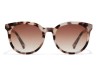 Lentes de Sol HAWKERS Resort Mujer Color Marrón
