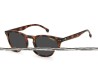 Lentes de Sol Carrera Unisex 20436208651IR 2032T/S Havana