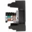 MODULO TELEFONICO MODULAR RJ11 CAT 3 NEGRO LEVINTON.
