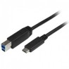 StarTech.com Cable USB-C Macho - USB-B Macho, 2 Metros, Negro