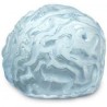 Brain Freeze Molde De Cerebro Para Hacer Hielo Bares Fiestas