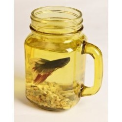 Mix Mason Jars Color Amarillo con tapa y popote rigido