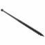 TORNILLO PARA TABLAROCA 10 X 6 PULGADAS CAJA C/1000 Pz MATERIALES D...
