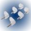 SOPORTE ESPEJO ACRILICO 6-PK 15293 ULTRA