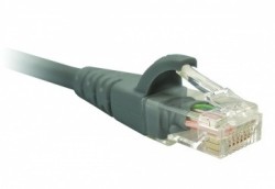 Nexxt Solutions Cable Patch Cat6 UTP RJ-45 Macho - RJ-21 Macho, 2.1...