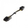 Startech.com Cable de Poder PCI Express 6-pin - 8-pin, 15cm