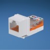 Panduit Jack de Red Cat5e, 8 Posiciones, RJ-45, Blanco