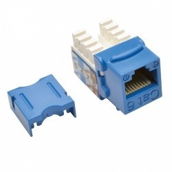 Tripp Lite Jack Cat6/Cat5e, Tipo Punch Down 110, RJ-45 Hembra, Azul