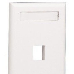 Panduit Placa Frontal Vertical NetKey de Montaje Empotrado, 1 Salid...