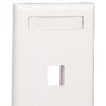 Panduit Placa Frontal Vertical NetKey de Montaje Empotrado, 1 Salid...