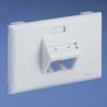 Panduit Placa Horizontal, 2 Puertos, Blanco