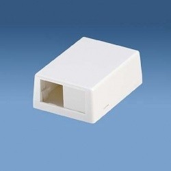 Panduit Caja Tipo Roseta Mini-Com para 2 Módulos, Blanco