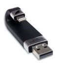 Leef iBRIDGE 128GB