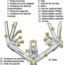 MULTIHERRAMIENTA SUPER TOOL 300 LEATHERMAN.