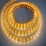 MANGUERA PLANA DE 60 LED 5 METROS LUZ CALIDA