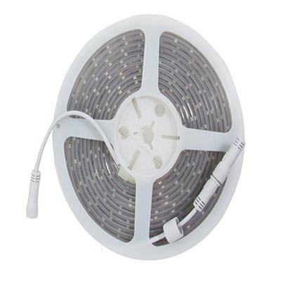 MANGUERA PLANA DE 60 LED 5 METROS LUZ FRIA