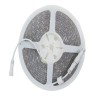 MANGUERA PLANA DE 60 LED 5 METROS LUZ FRIA