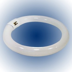 LAMPARA CIRCULAR DE REPUESTO 32W FU0042 FULGORE.