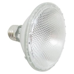 REFLECTOR HALOGENO PAR 30 75W 8900710 ARGOS.