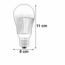 LAMPARA LED INCANDESCENTE 6W BULBO A19 COLD LUZ BLANCA LEDCO