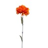 Tallo Clavel Naranja