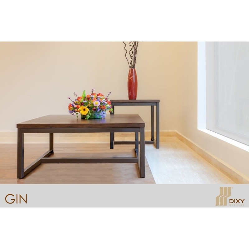 Mesa Central Gin Central