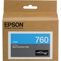 Cartucho de Tinta EPSON T760220 Cyan