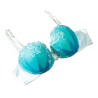 Sexy bra bordado