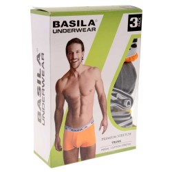 Biker Trunk Basila