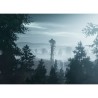 PS4 Infamous Second Son