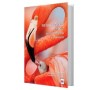 Libro Riquezas Naturales de México