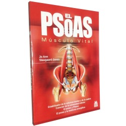El Psoas. Musculo Vital