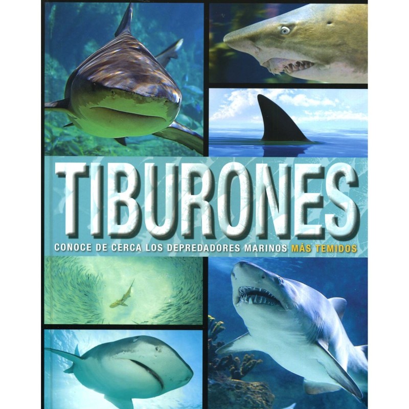 Sol 90 Tiburones