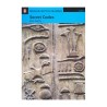 Peng Act Rdg 4: Secret Codes Bk/ Cd Rom Pack