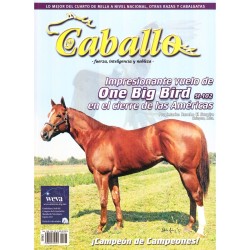 A Caballo Mensual