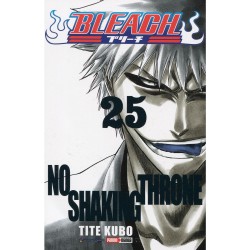 Comic Bleach 25